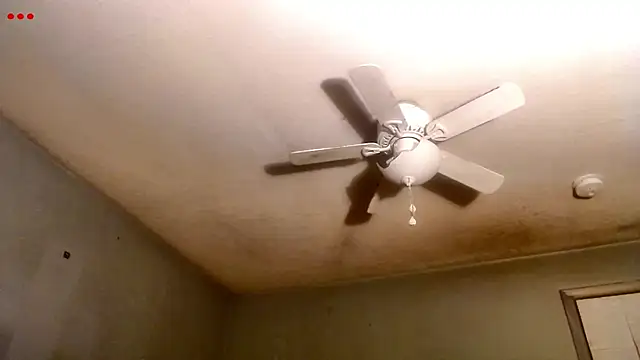 VanceFontaine online show from 03.24.26