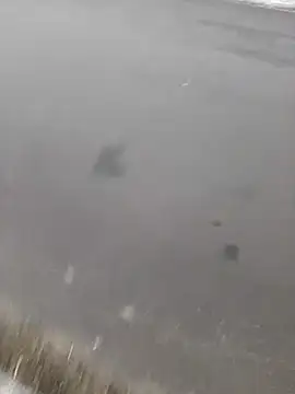 BRUNNA online show from 03.20.25