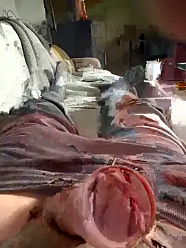 Andy-370 online show from 09.21.25