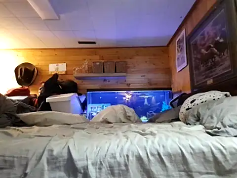 Ryan and Aurora online show from 03.12.26