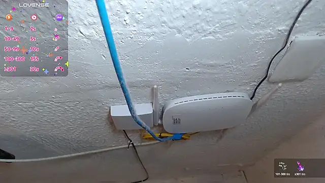 lin jayani online show from 03.05.26