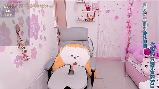 Stylec66 online show from 01.14.26