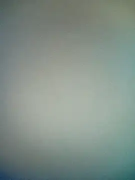 bustybillies online show from 01.17.26