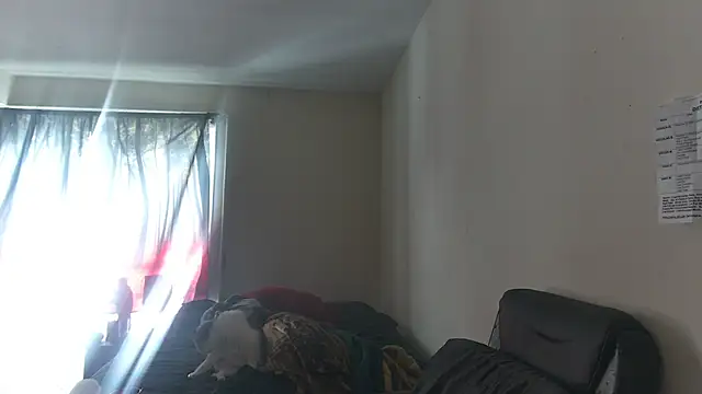 RickStone51 online show from 03.02.26