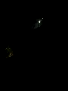 perlita05 online show from 11.16.25