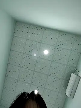 -Zelda- online show from 11.07.25