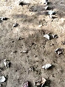 Ishan003 online show from 09.12.25