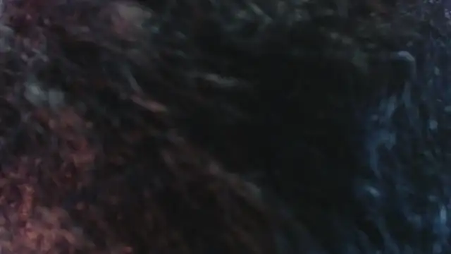 Sofiacowperx online show from 03.31.26