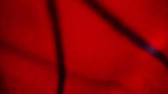 Nathaly love96 online show from 02.20.26