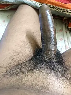 Olivia511 online show from 02.18.26