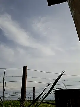 Snapshot of bull_Giant chatting on 12.22.24 bull Giant online show from 12.22.24