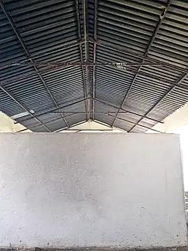 Snapshot of bull_Giant chatting on 12.24.24 bull Giant online show from 12.24.24