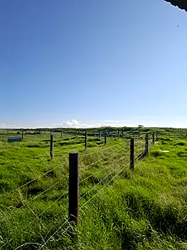 Snapshot of bull_Giant chatting on 02.22.25 bull Giant online show from 02.22.25