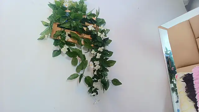 mss samy online show from 01.15.26