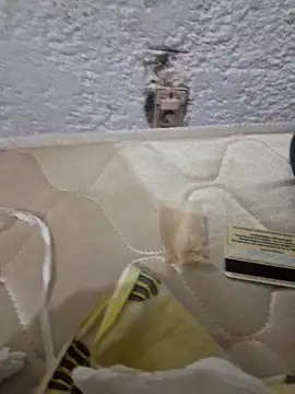 montevideoo online show from 10.06.25