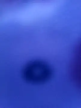 Mia ross16 online show from 03.09.25