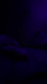 BigMac1596 online show from 11.02.25