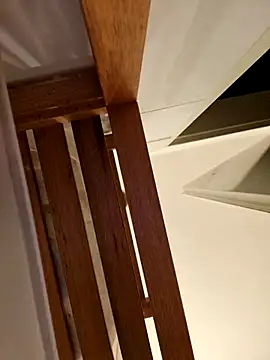 Snapshot of Josephine_LIVE chatting on 11.28.25 Josephine LIVE online show from 11.28.25