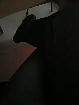 Snapshot of homidor chatting on 12.20.24 homidor online show from 12.20.24