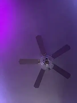 badbish777 online show from 03.03.25