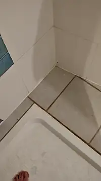 Ariete80s online show from 02.21.25