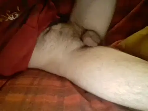 Ariete80s online show from 03.10.25