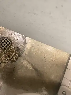 Snapshot of zeekBbc chatting on 12.10.24 zeekBbc online show from 12.10.24