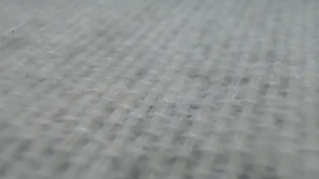 Snapshot of _Zooee chatting on 01.27.25 Zooee online show from 01.27.25