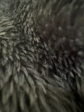 Snapshot of Luis0klk chatting on 03.13.25 Luis0klk online show from 03.13.25