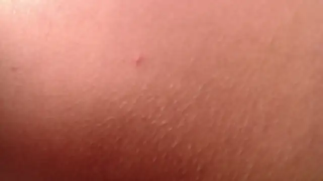 isabella jazz online show from 01.07.26