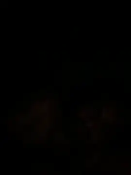 islandvybee55 online show from 12.18.24