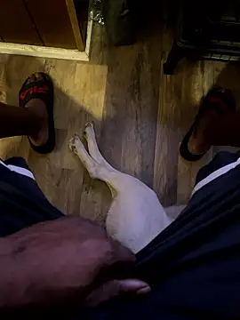 SukItSlo444 online show from 04.11.26