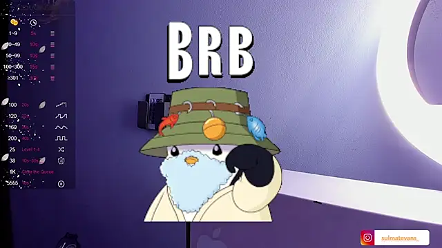  sulmatevans  online show from 01.24.25