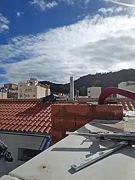 seloloko20 online show from 01.28.25