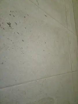 seloloko20 online show from 09.19.25