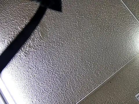 yajahil online show from 11.28.25