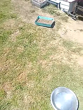 hornyhippies0080 online show from 03.04.26