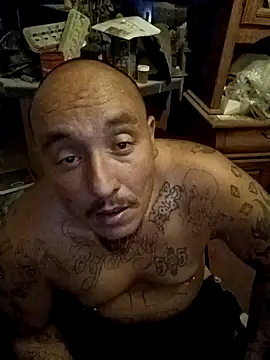 Snapshot of wilsons12 chatting on 11.08.25 wilsons12 online show from 11.08.25