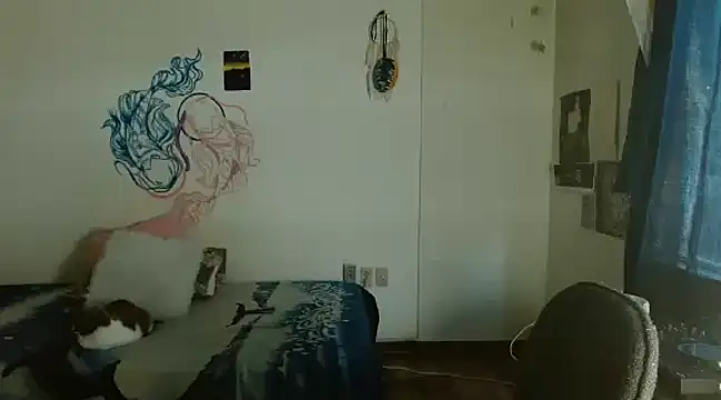 fenixmfx19 online show from 12.17.24