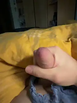 Snapshot of Gartengolem chatting on 11.26.25 Gartengolem online show from 11.26.25