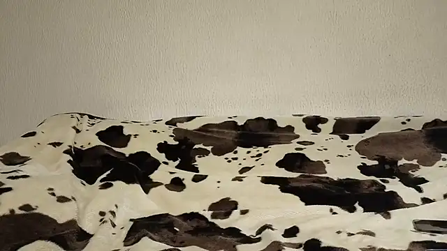 Zgodanilep online show from 01.14.26