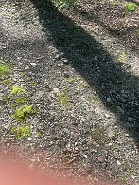 pupine35 online show from 04.03.26