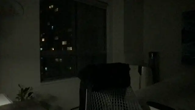 Snapshot of Gingerbushguy chatting on 12.29.24 Gingerbushguy online show from 12.29.24