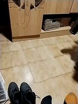 Snapshot of minitranca chatting on 10.28.25 minitranca online show from 10.28.25