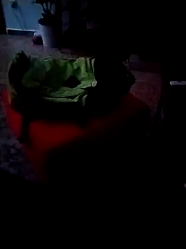 minitranca online show from 02.26.26