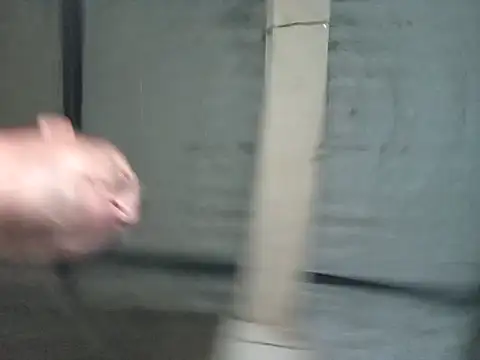 strip 1212 online show from 11.06.25