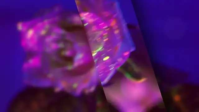 HeyBananas online show from 10.22.25