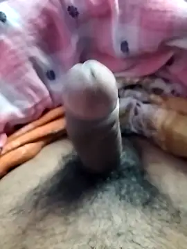 dick 01728 online show from 12.11.24