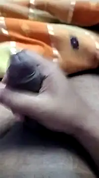 dick 01728 online show from 01.10.25