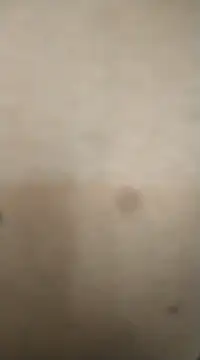 rohitlov150 online show from 02.13.25